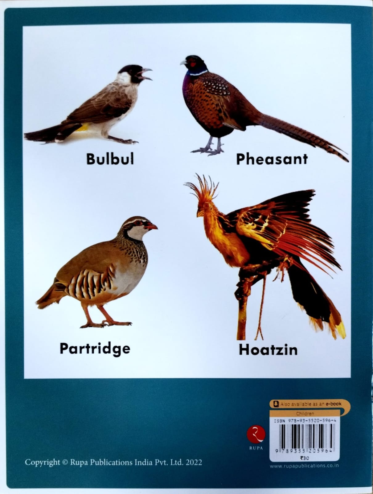 Know your BIRDS