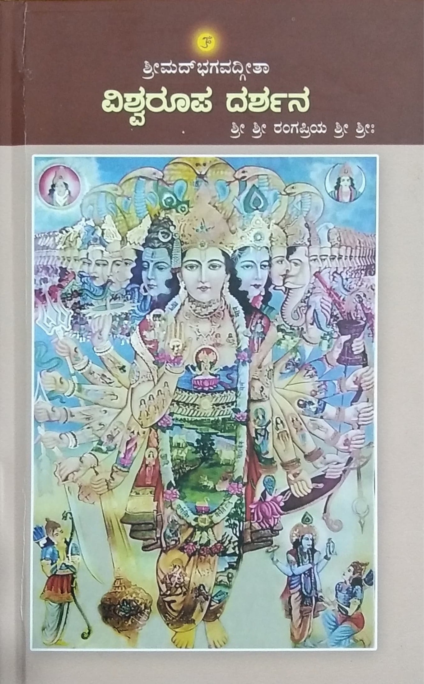 ವಿಶ್ವರೂಪ ದರ್ಶನ