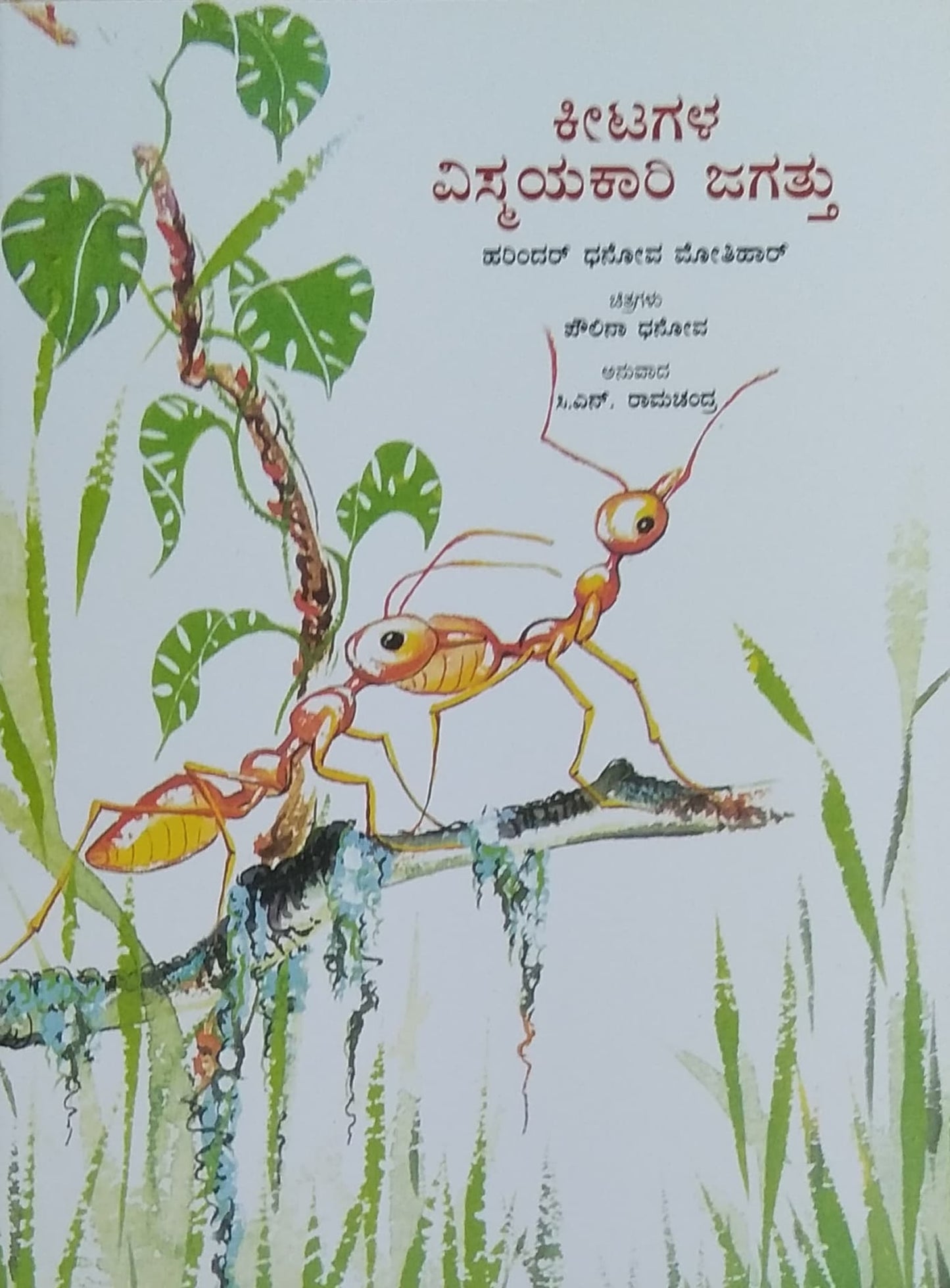 ಕೀಟಗಳ ವಿಸ್ಮಯಕಾರಿ ಜಗತ್ತು