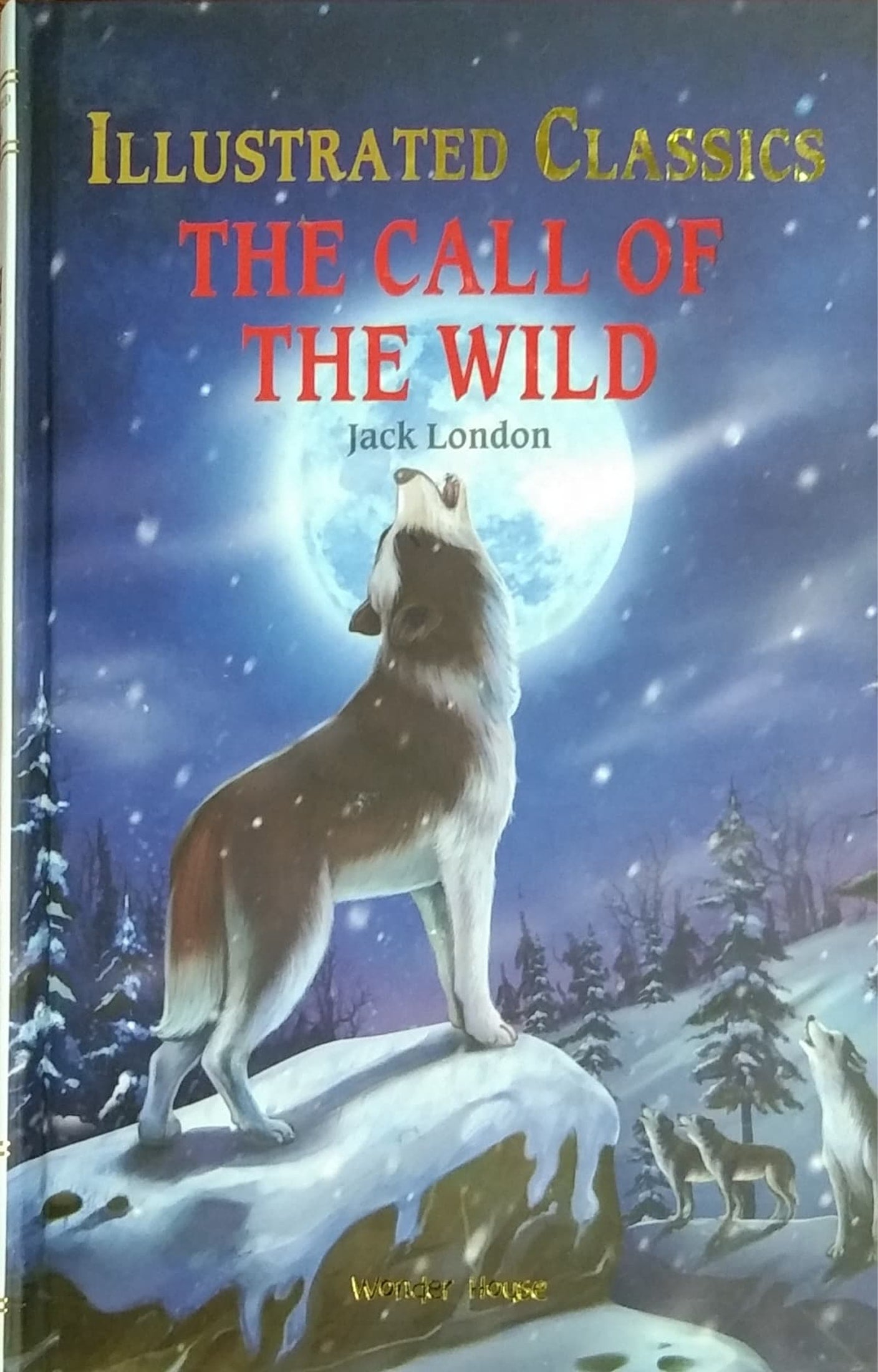 THE CALL OF THE WILD