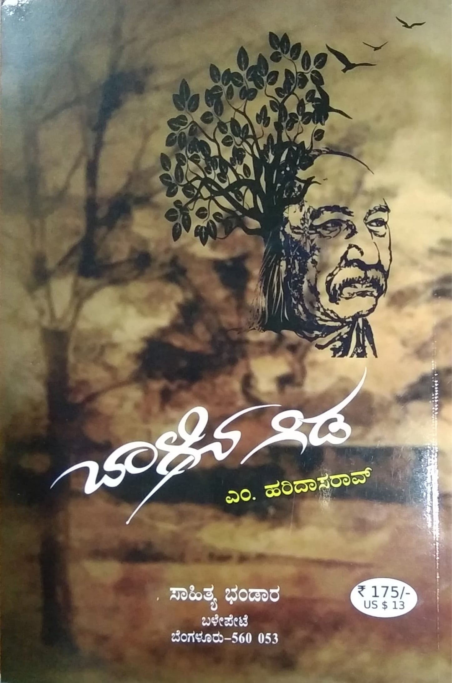 ಬಾಳಿನ ಗಿಡ