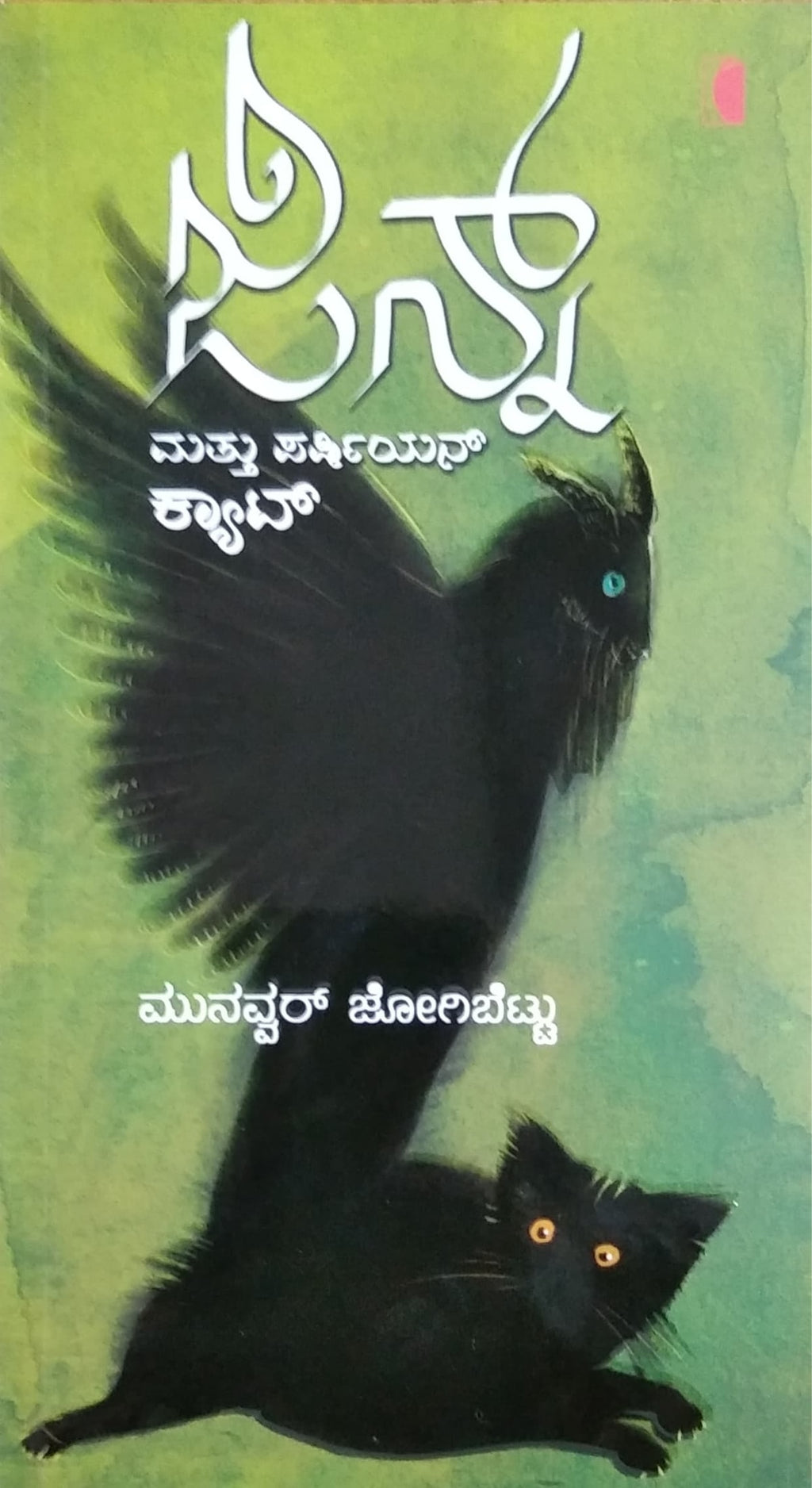 ಜಿನ್ನ್ ಮತ್ತು ಪರ್ಷಿಯನ್ ಕ್ಯಾಟ್