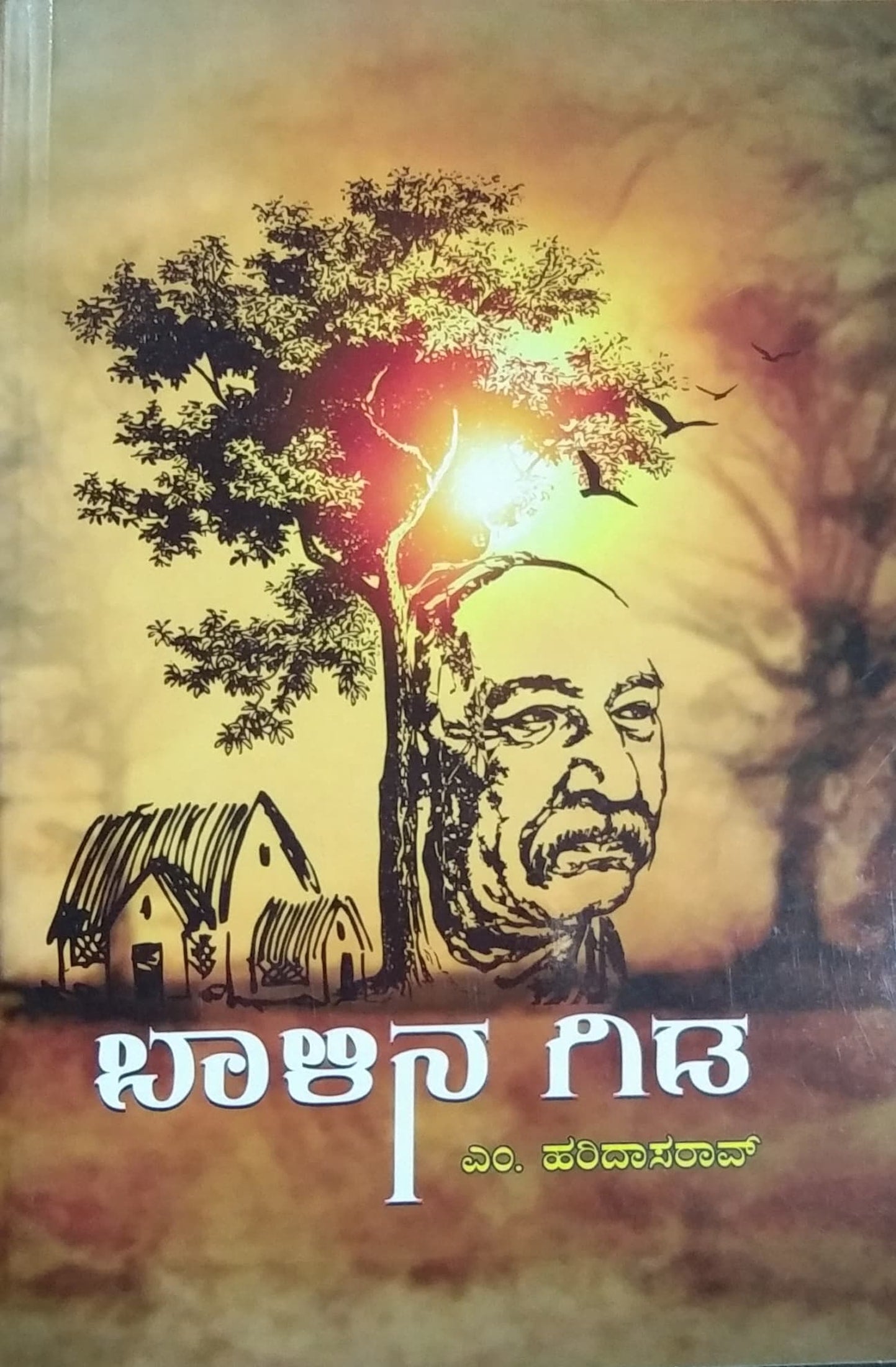 ಬಾಳಿನ ಗಿಡ