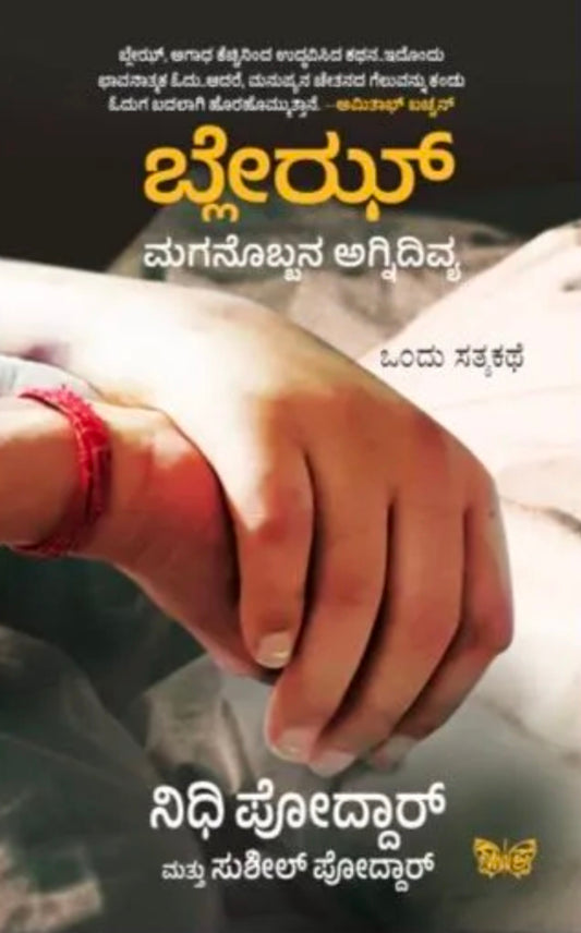 ಬ್ಲೇಝ್