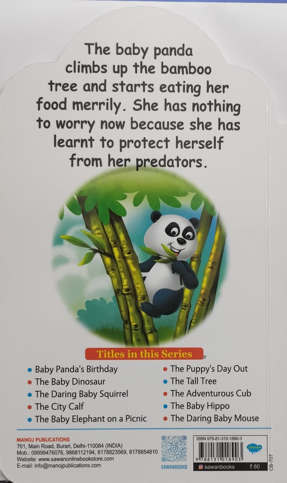 Baby Panda's Birthday