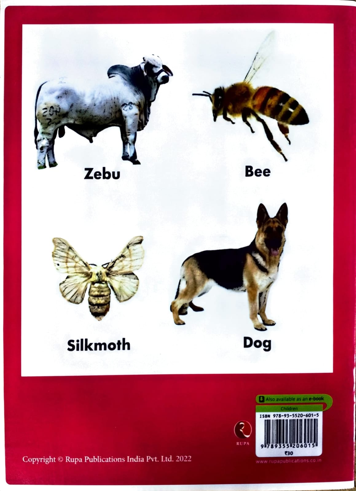 Know your ANIMALS AND BIRDS