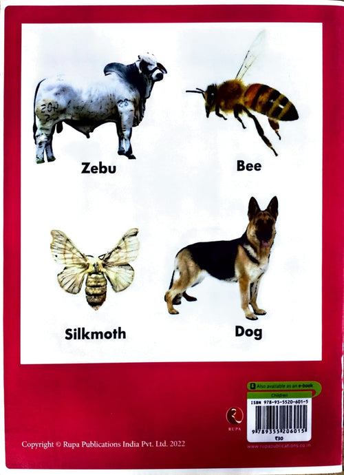 Know your ANIMALS AND BIRDS