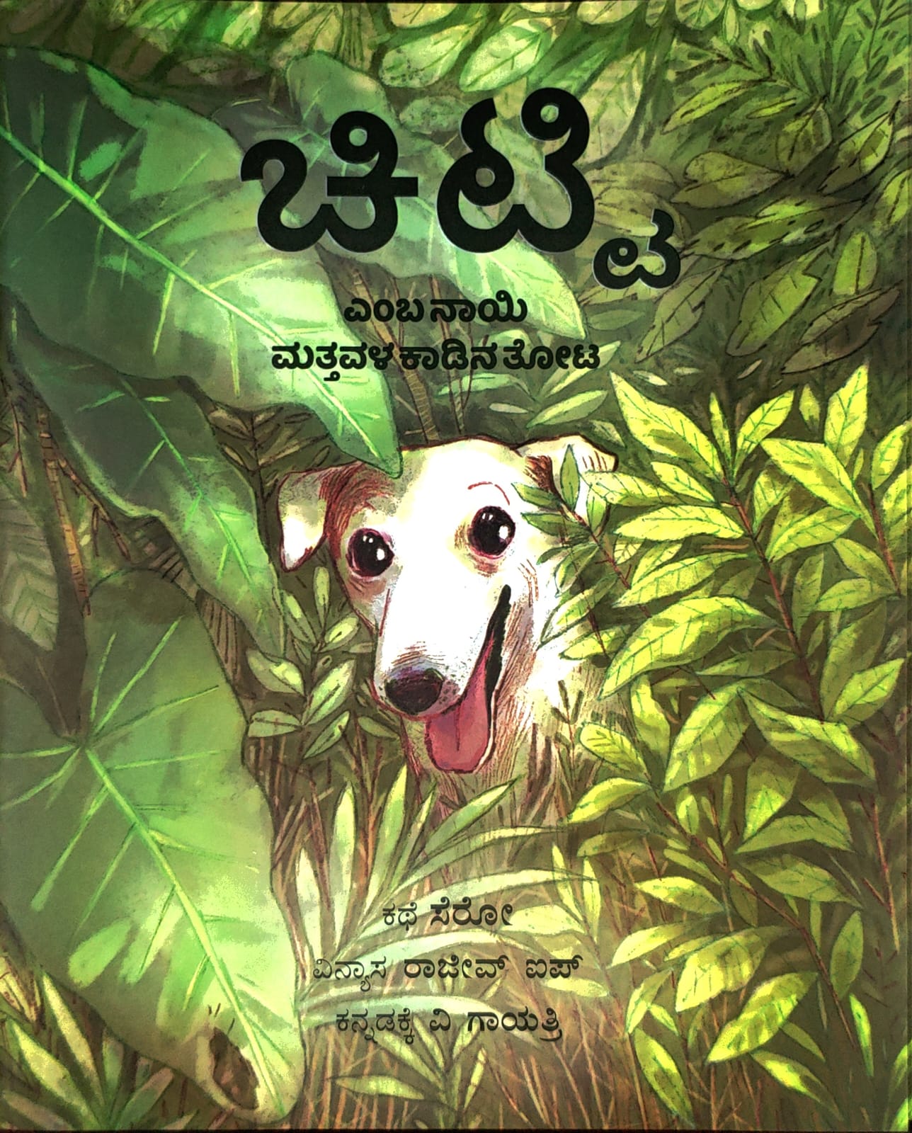 ಚಿಟ್ಟಿ