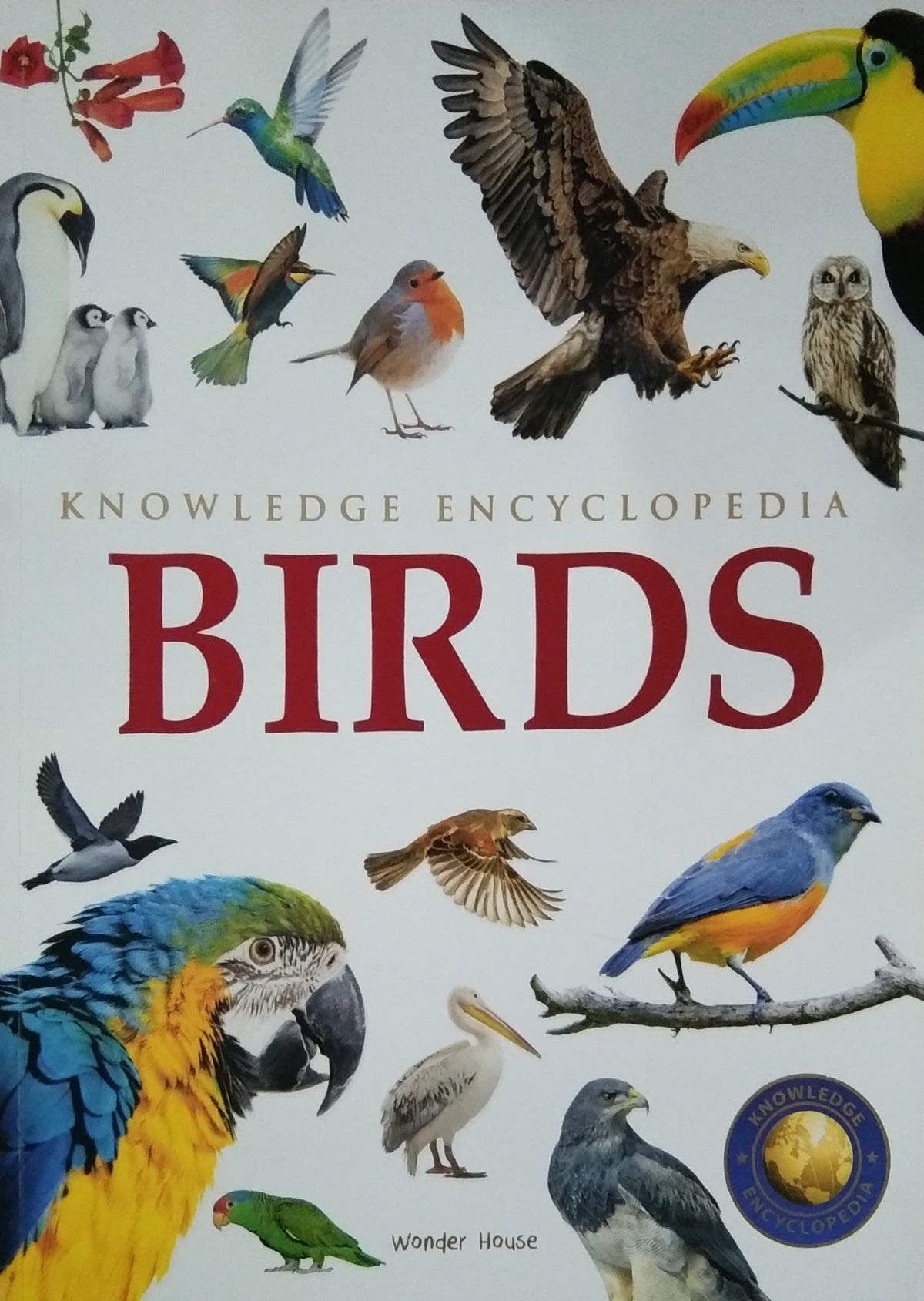 BIRDS