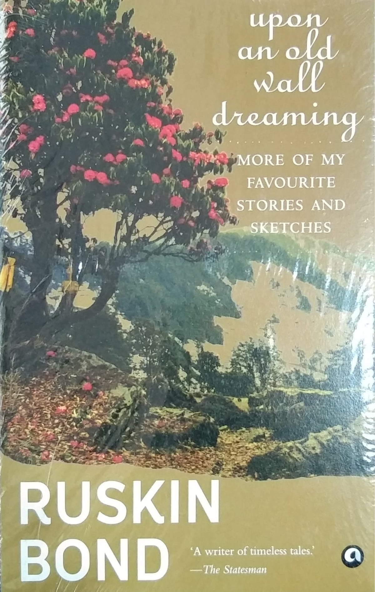 upon an old wall dreaming